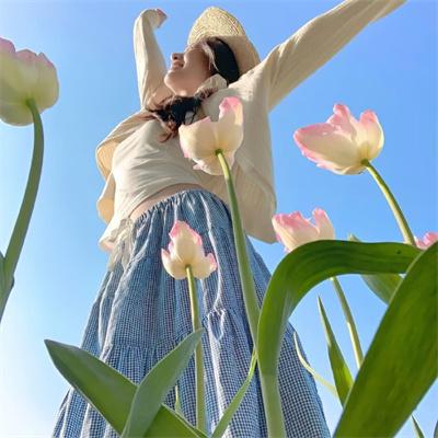 天降饕餮督军一家抱盆追着跑